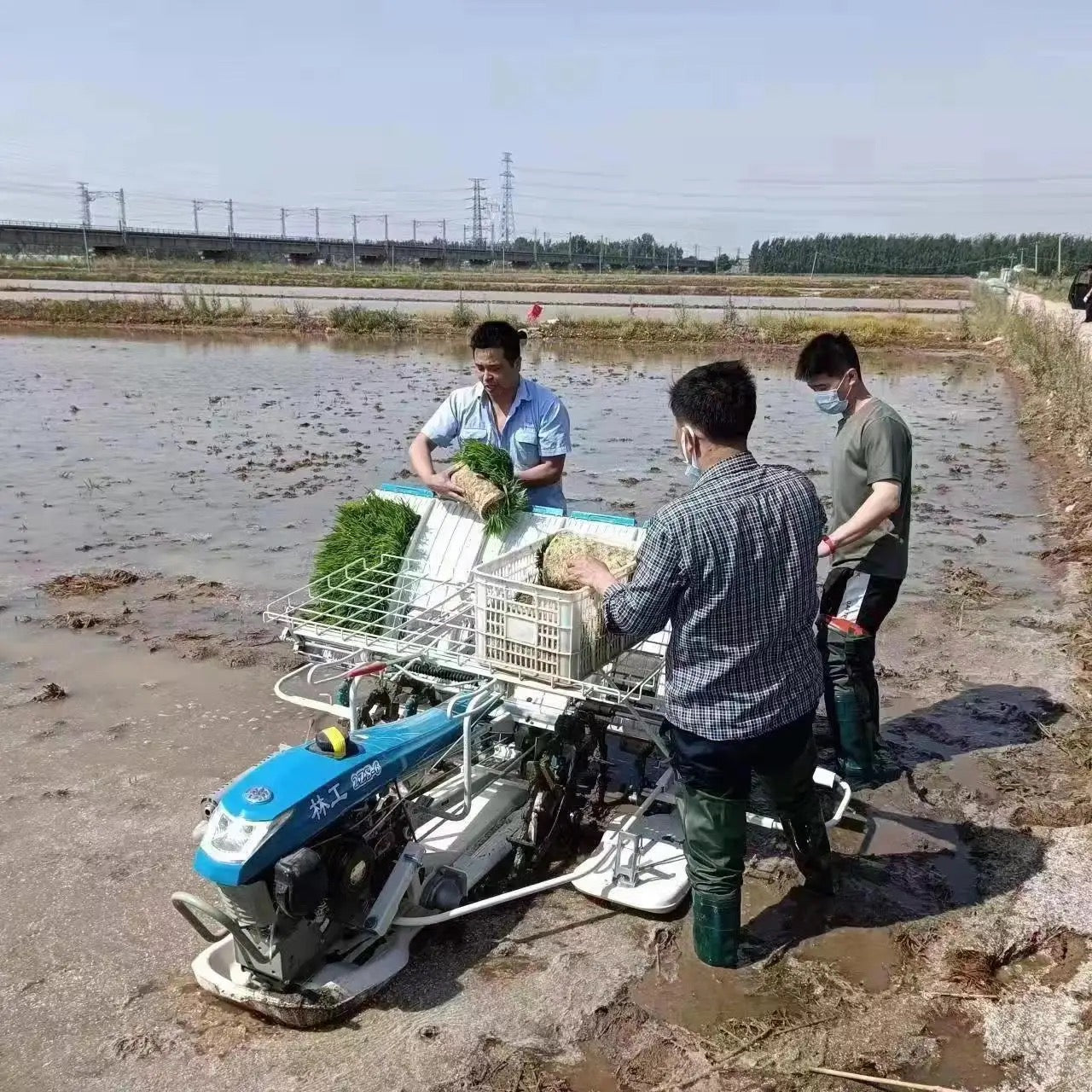 4 Row 6 Row Mini Rice Walking Behind Transplanter Machine